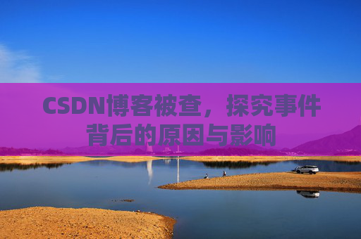 CSDN博客被查，探究事件背后的原因与影响