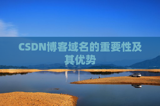 CSDN博客域名的重要性及其优势
